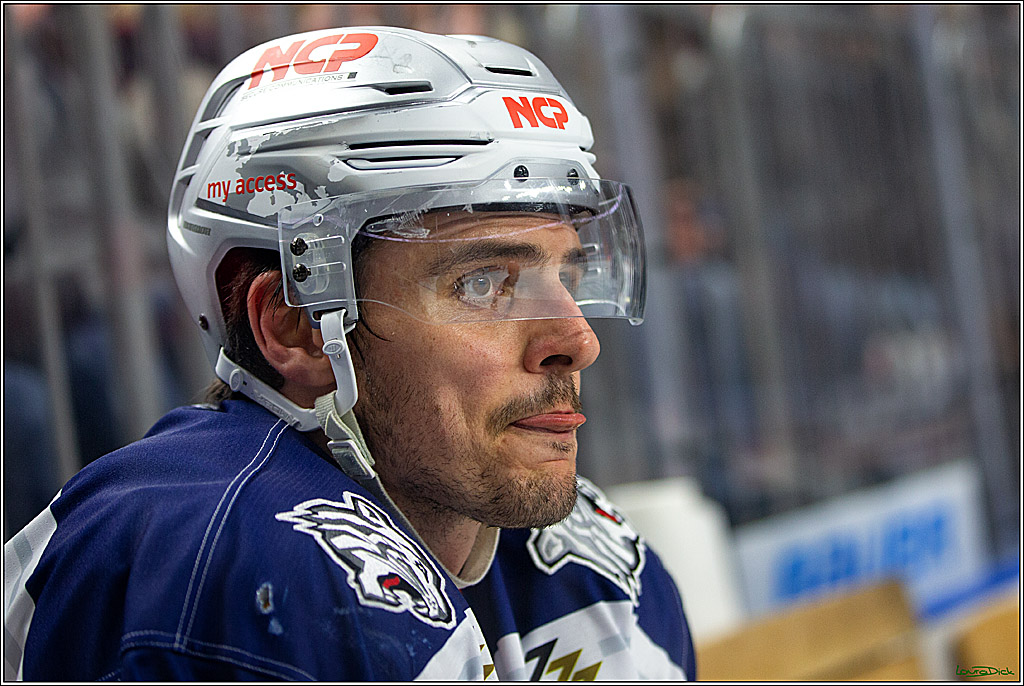 PENNY DEL; Koelner Haie- Nuernberger Ice Tigers; Koeln, 29.01.2023